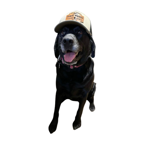 Forty Woods Richardson Trucker Hat